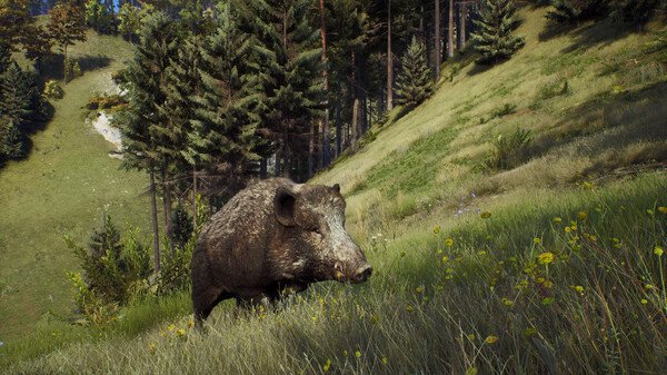 猎人之路/Way of the Hunter（更新v1.24.3）