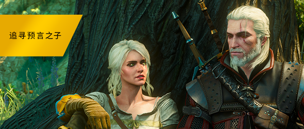 巫师3：狂猎-次世代完全版/The Witcher 3: Wild Hunt（v4.04）