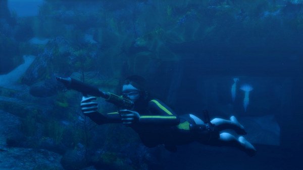 古墓丽影8地下世界/Tomb Raider: Underworld