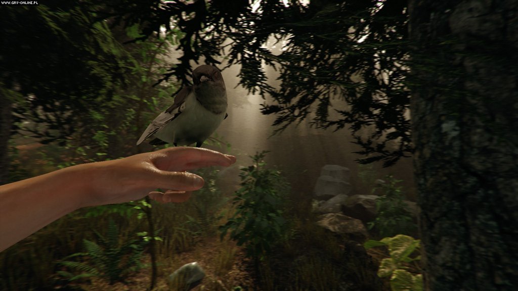 迷失森林/The Forest（v1.12正式版）