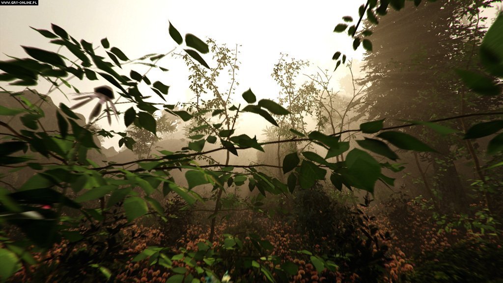 迷失森林/The Forest（v1.12正式版）