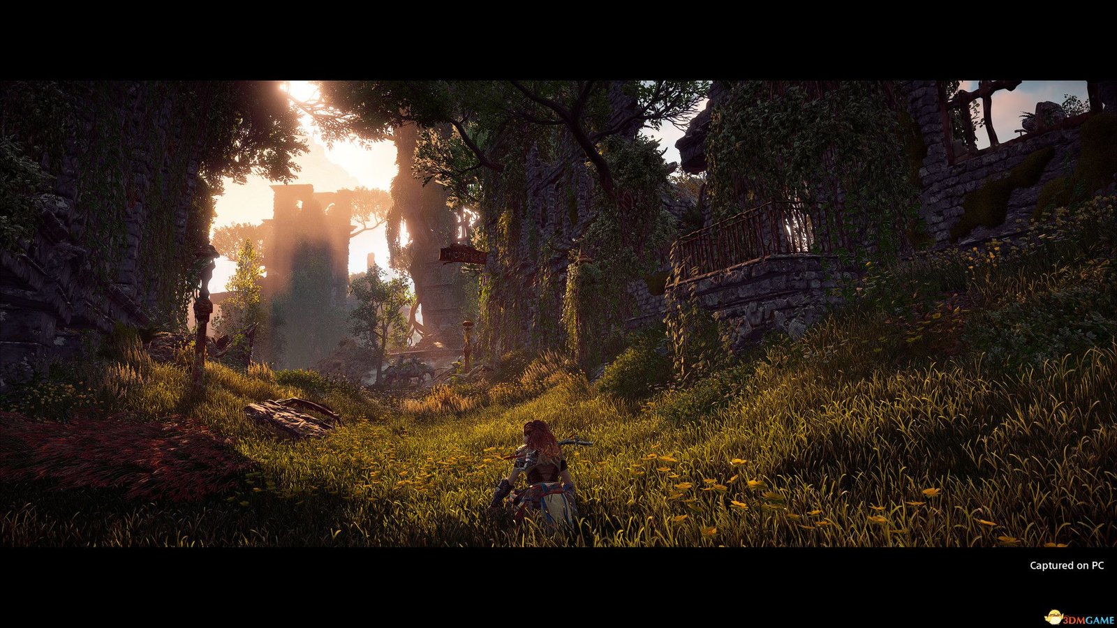 地平线:黎明时分/零之曙光/Horizon Zero Dawn(v1.10.H2)