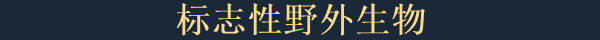 拉力赛艺术/art of rally(v1.5.0)