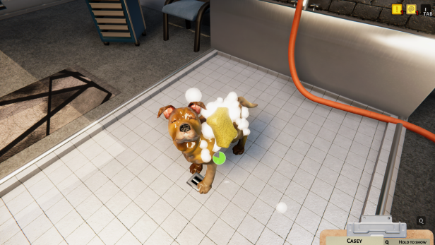 动物收容所/Animal Shelter（更新v1.3.17）