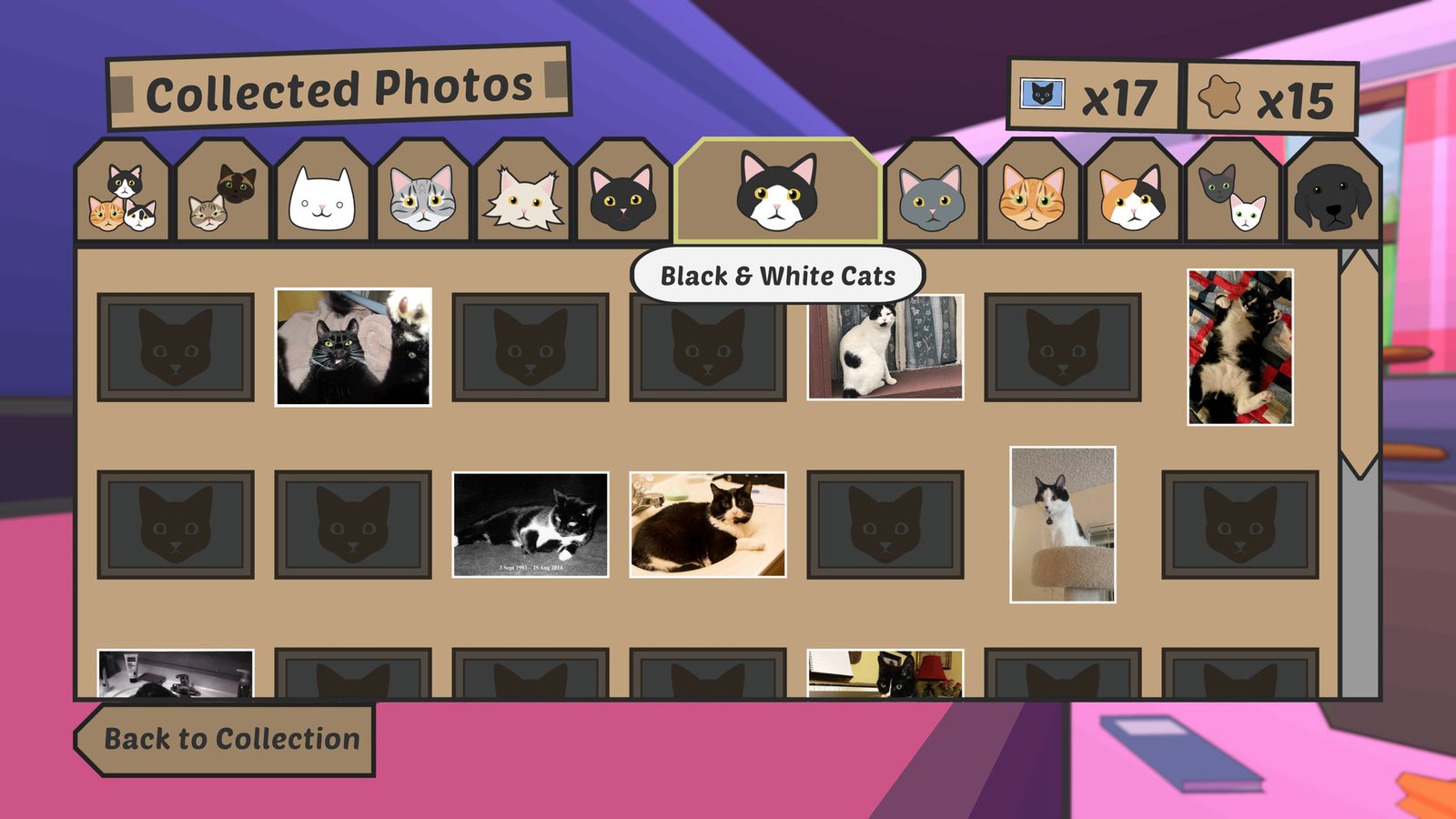 暴力喵喵拳:重置版/Catlateral Damage: Remeowstered