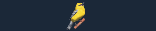 展翅翱翔/WINGSPAN(更新大洋洲篇DLC v04.01.2024)