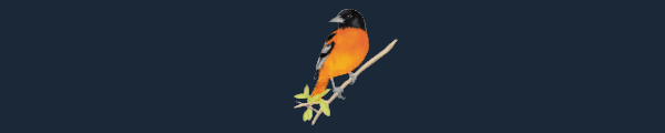 展翅翱翔/WINGSPAN(更新大洋洲篇DLC v04.01.2024)