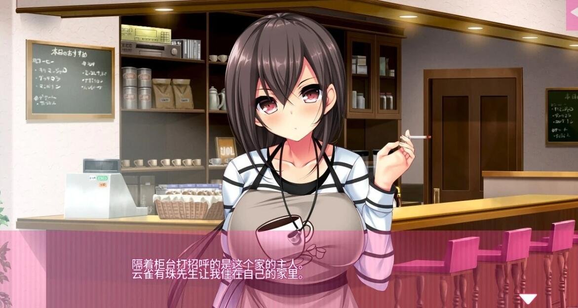 【PC/2D/拔作ADV/汉化】真实X油场景2 机翻汉化版+CG【4.9G】