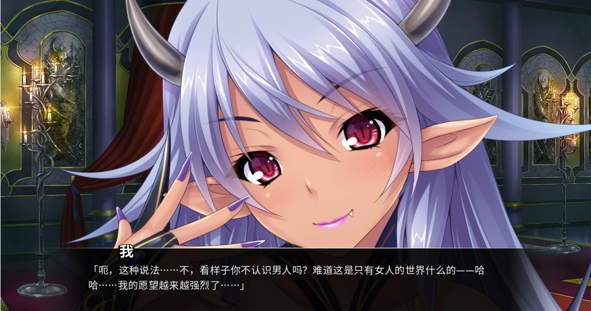 【PC/拔作ADV/中文】[miel]异世界~银乱后宫物语 STEAM官中+CG存档【1.3G】