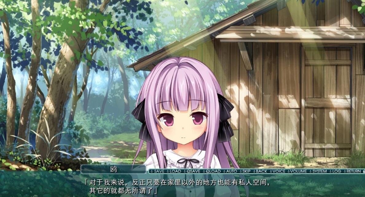 【PC/2D/GAL/汉化】由梦想与色彩编织而成 精翻汉化版+CG+存档【5.6G】