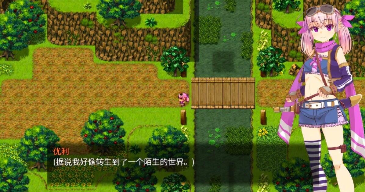 【PC/2D/RPG/汉化】梦想与追忆的复仇 DL官方AI汉化修复版【910M】