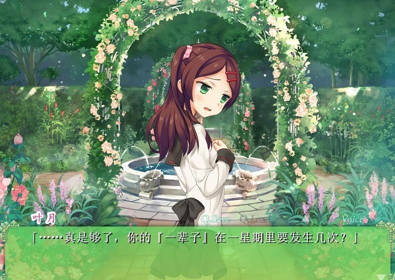 【PC/2D/GAL/汉化合集】百合赛高:花吻在上 23作 全系列精翻汉化版【13G】