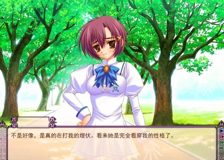 【PC/2D/GAL/中日文】少女爱上姐姐1+2+3 第三作只有序章是汉化的