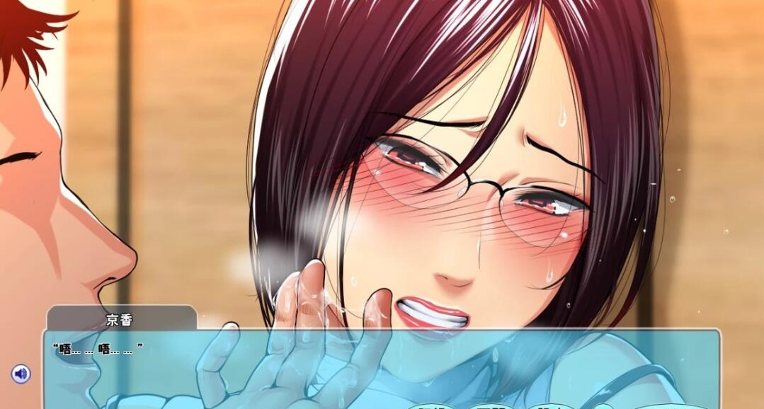 【SD/2D/拔作ADV/汉化】高傲妻子堕落记付 双端AI精翻汉化版【700M】