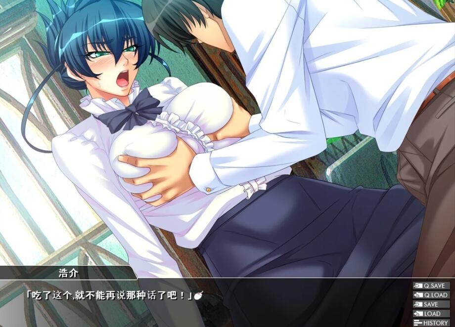 【SD/2D/ADV/汉化】对魔忍阿莎姬3 双端AI精翻汉化版+全CG存档【2.5G】