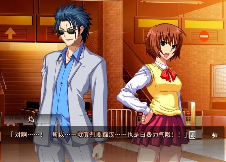 【PC/2D/ADV/汉化】痴H许可证 AI汉化版+全CG回想★全CV【550M】