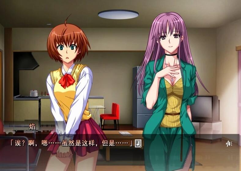 【PC/2D/ADV/汉化】痴H许可证 AI汉化版+全CG回想★全CV【550M】