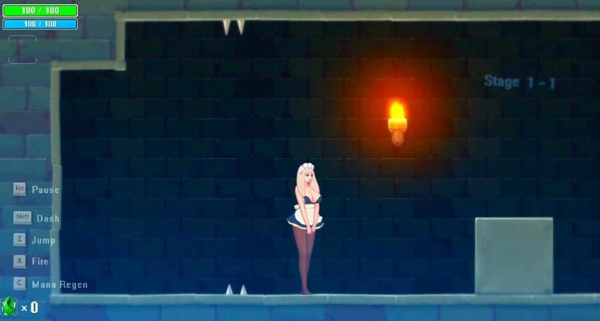【PC/2D/ACT/日文/动态】女仆和地牢:Dungeon&Maid 1080HD日文完整版+全CG档【730M】