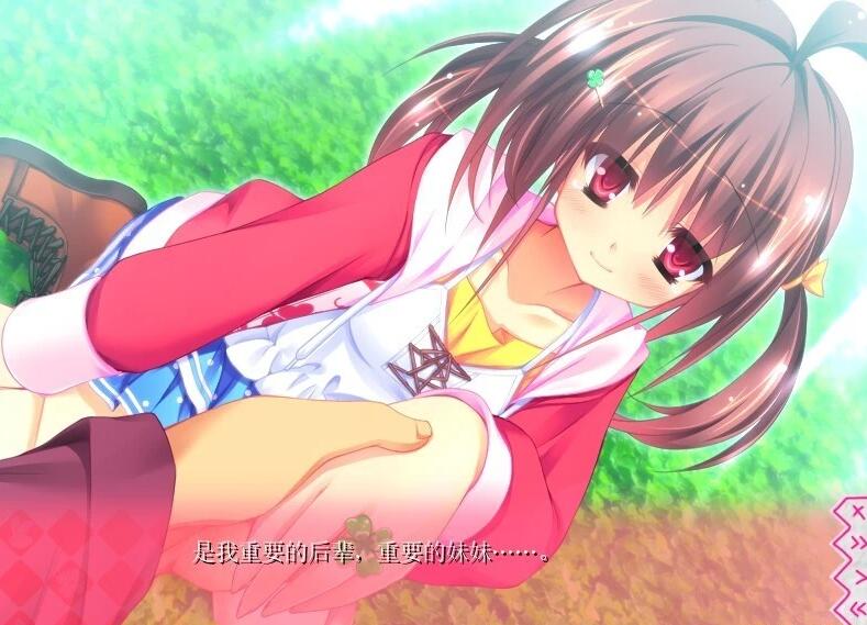 【PC/2D/GAL/汉化】第二回妹选拔总选举～我的后宫将要开始 精翻汉化版【1G】