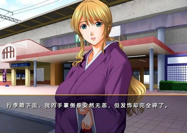 【PC/2D/ADV/汉化】仕舞妻～姉妹妻3～ AI汉化版【3G】需转区运行，不会搞勿下！