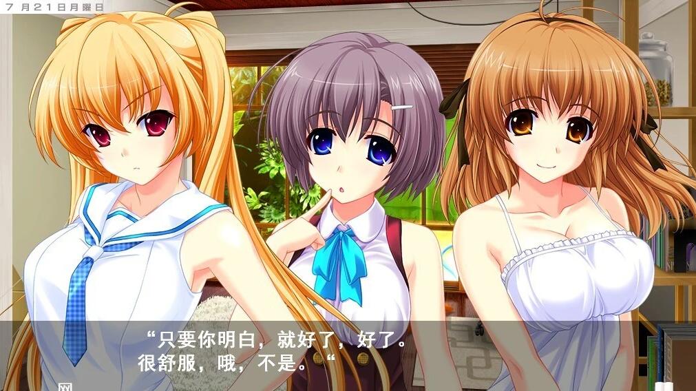 【PC/2D/ADV/汉化】侄女心动茶 AI汉化版【4.9G】